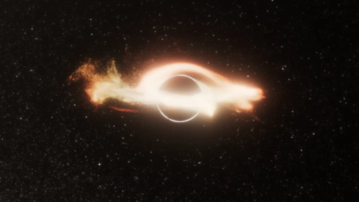What Could Split a Black Hole in Two?