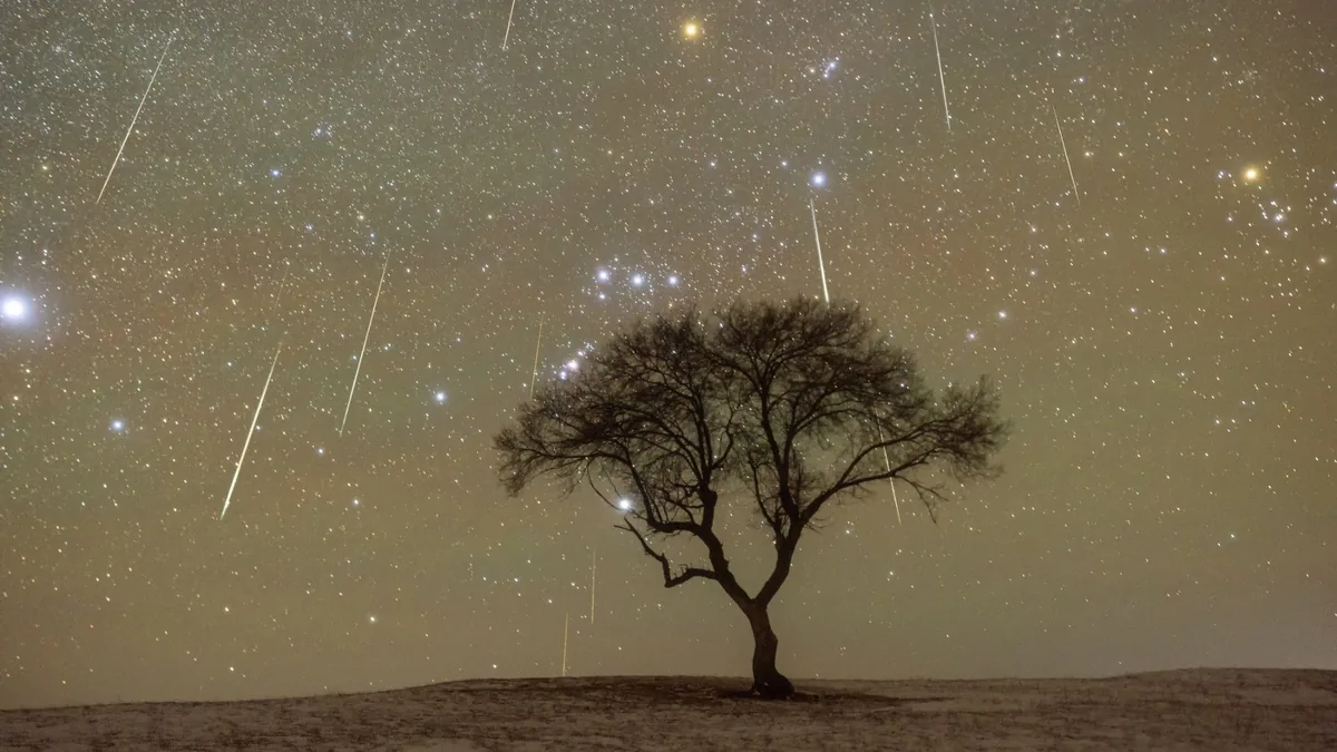 Orionid Meteor Yağmuru Zirve Yapıyor: Parlak Ay Altında Gözlem İpuçları
