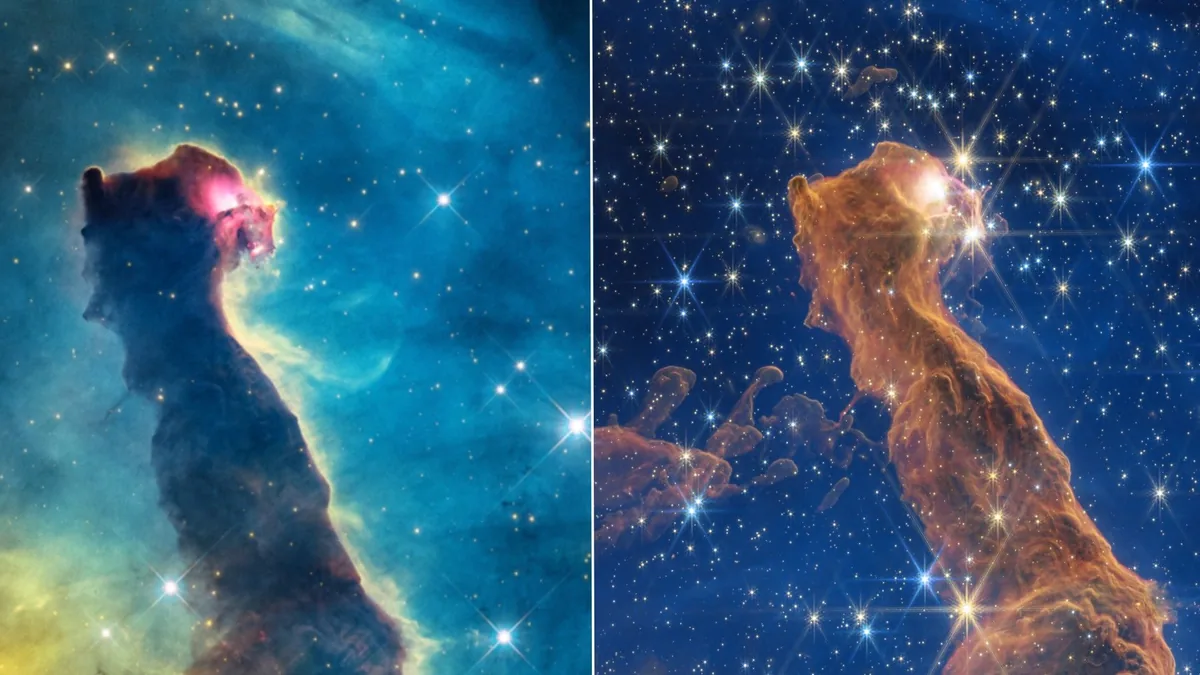 Kedibaşı Nebulası