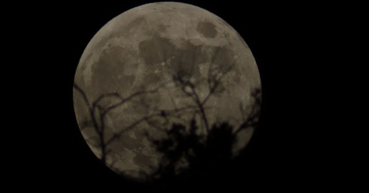 The Sky Today on Monday, October 26: Observe the October Hunter’s Moon