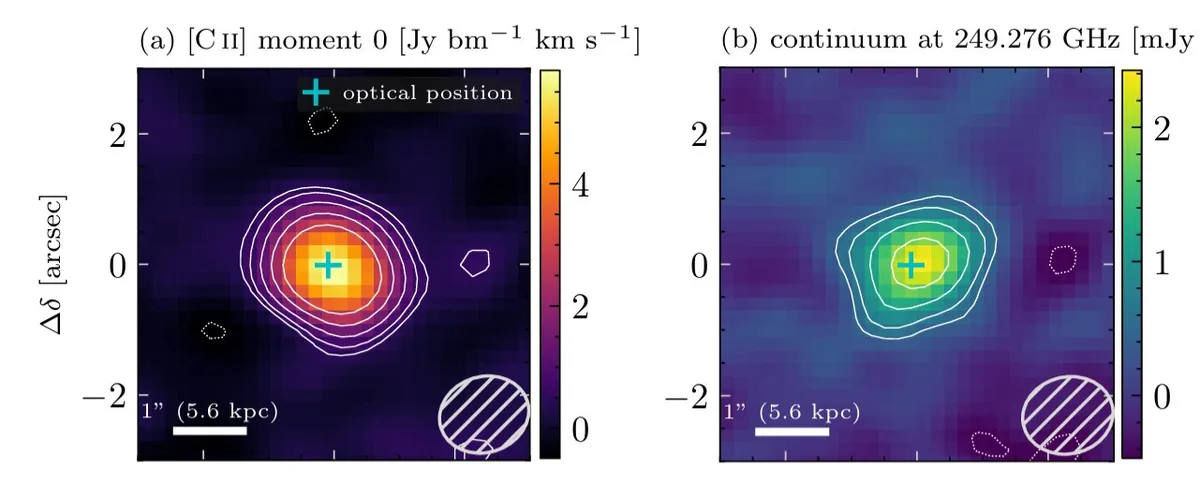 JWST and ALMA reveal a dusty, rapidly growing black hole in the early universe
