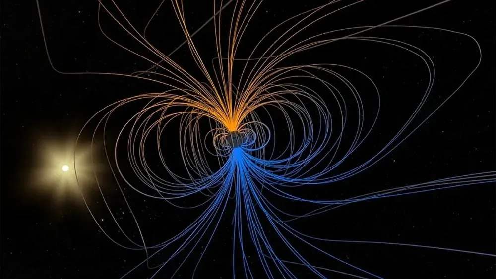 Magnetic Field Reversals and Extinctions: The Correlation Won't Go Away.