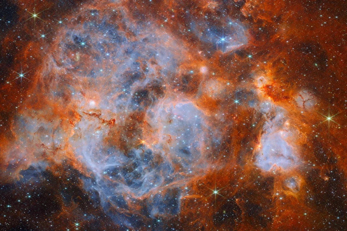 Stars brewing in a nebulous cauldron